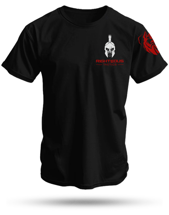 Molon Labe Shirt