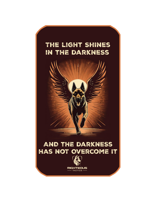 John 1:5 Sticker