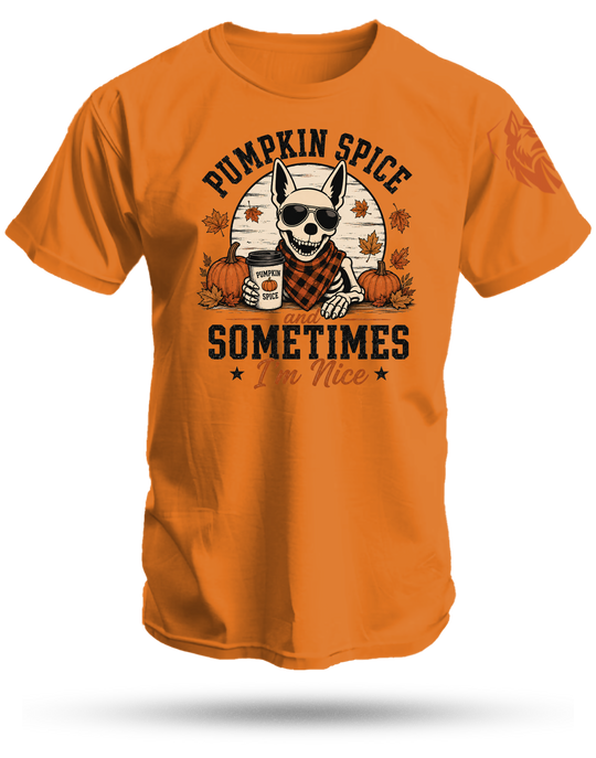 Pumpkin Spice T-Shirt