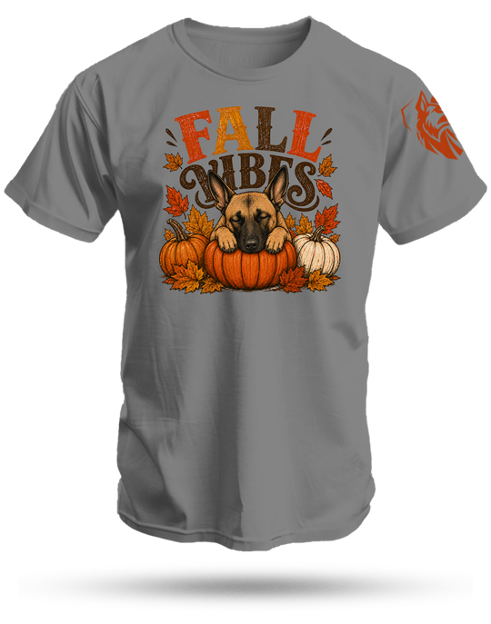 Fall Vibes T-Shirt