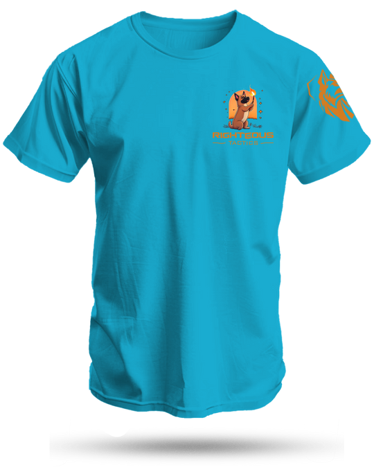 Burn It Down Shirt